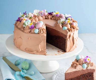 Chocolate mousse cake 0457 (1)
