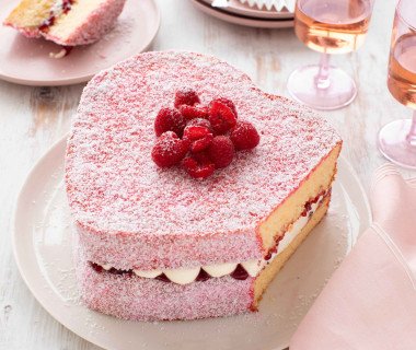 Jelly Lamington sponge 0379 (1)