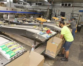 Manning Valley Eggs 2022