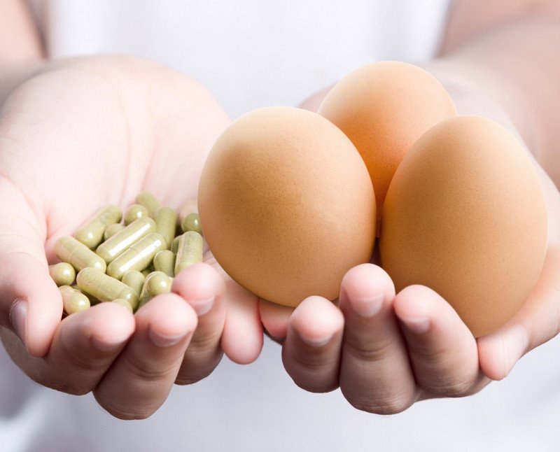 Eggs vs supplements