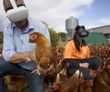 Jessica Spencer Dion Andary Days Eggs Australian Eggs VR 3