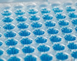 PCR image