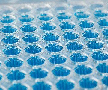 PCR image