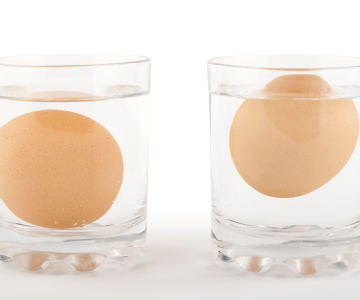 eggs floating in water