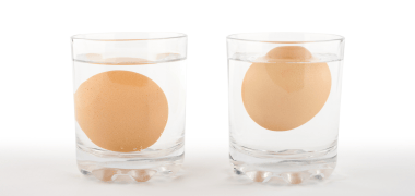 eggs floating in water