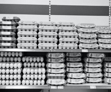 eggs on shelf