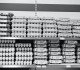 eggs on shelf