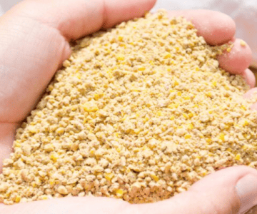 hen grain