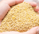 hen grain