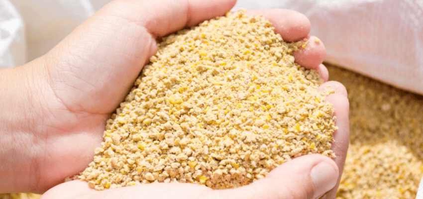 hen grain