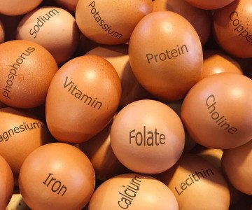 shutterstock 1174936414 choline lowres