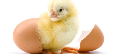 shutterstock 301730114