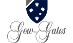 GG Logo GreyBlue FA Stacked