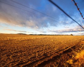 Drought farmland