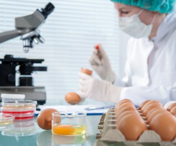 Egg testing in lab