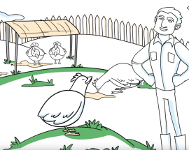 Extending Flock Life