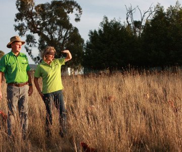 Free range farmers on range