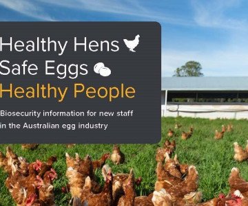 Healthy Hens Safe Eggs Healthy People Front Cover crop