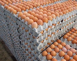Stacked eggs