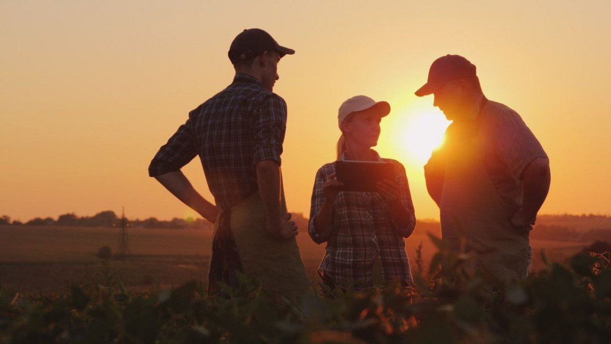 farmers sunset