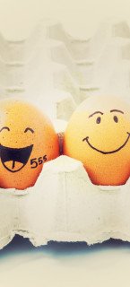 Eggs happy