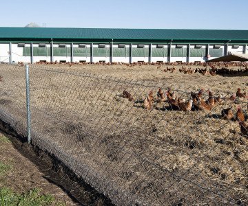 Range perimeter fencing