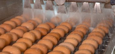 Egg washing done properly can minimise the risk of contaminating other eggs