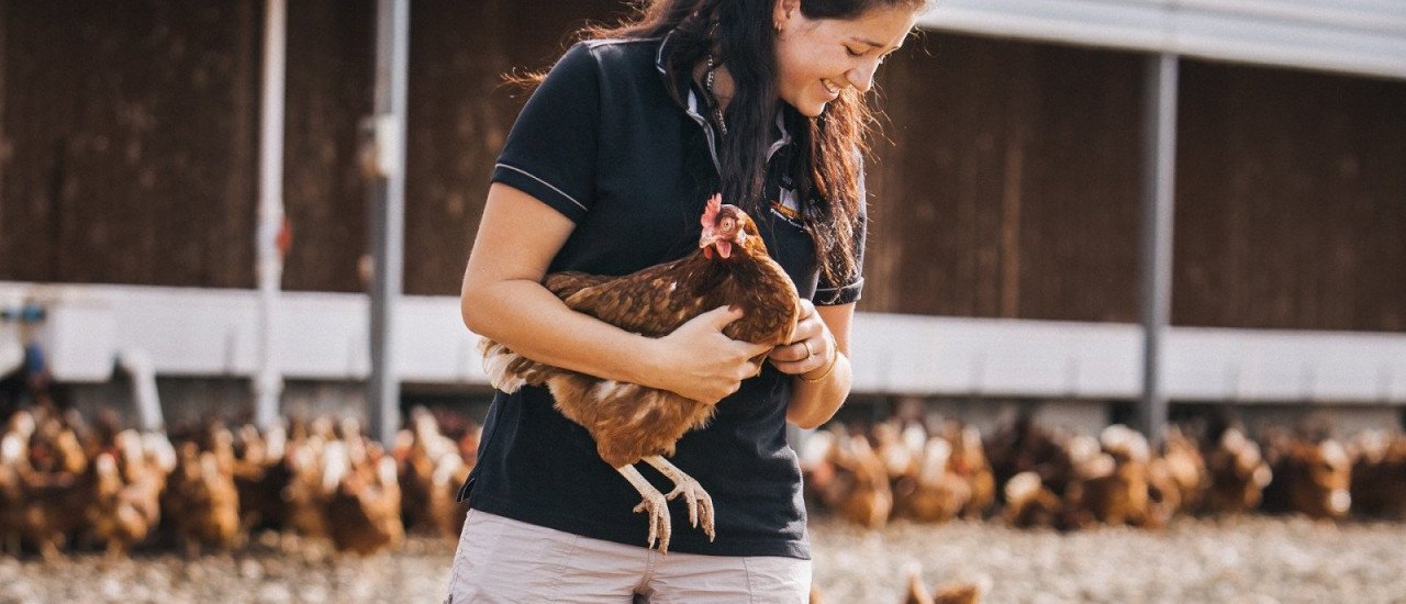 Female egg  farm worker holding one chicken, being surrounded by chickens