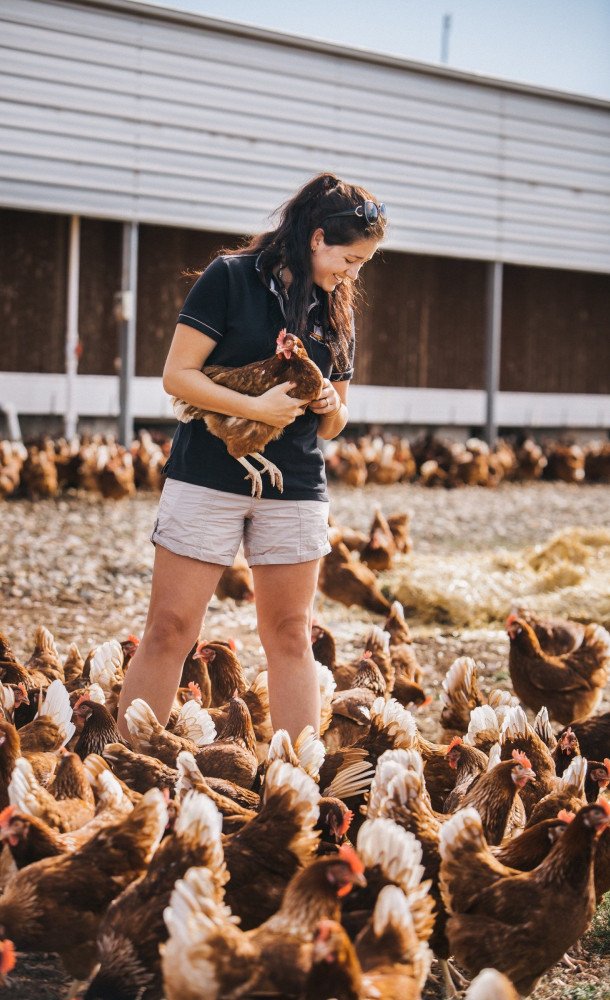 Female egg farm worker holding one chicken, being surrounded by chickens