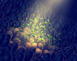 Gut Microbiota