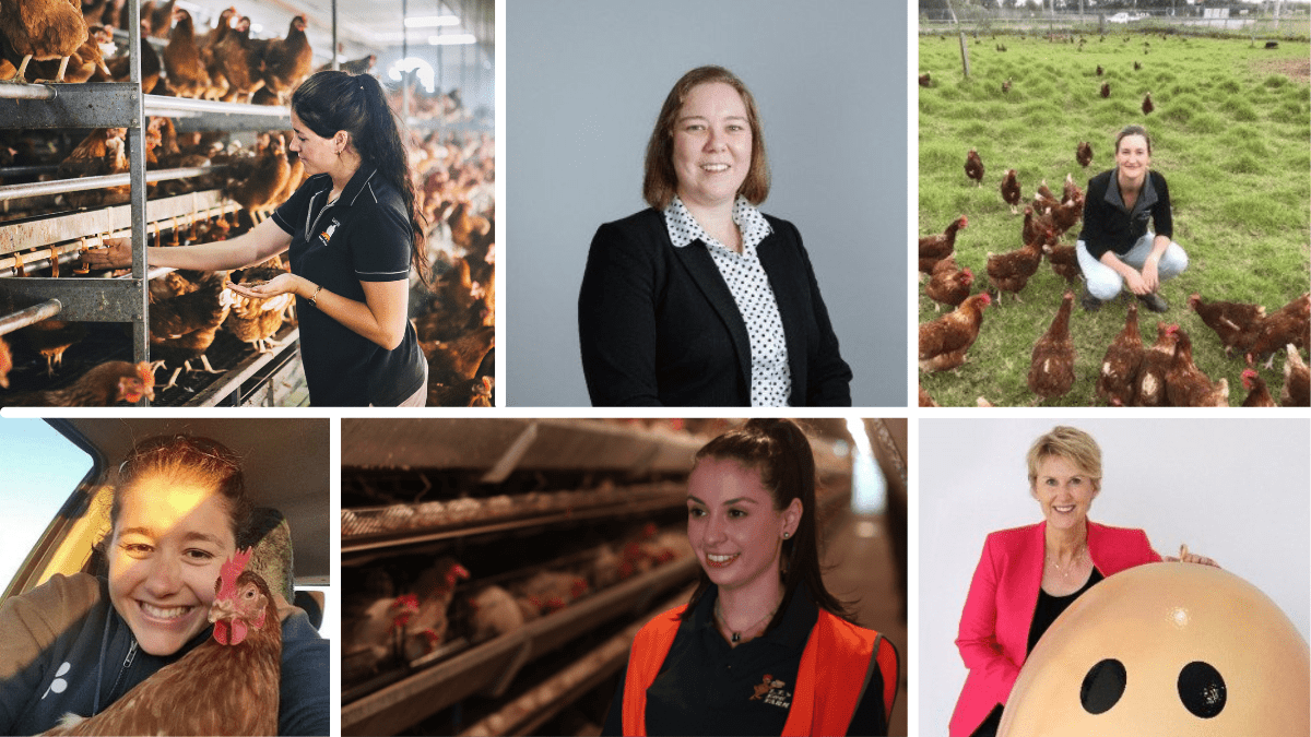 Women in the egg industry 