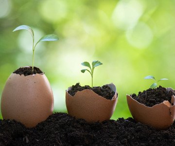 environmental sustainability