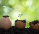 environmental sustainability
