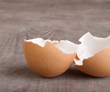 Cracked egg shell