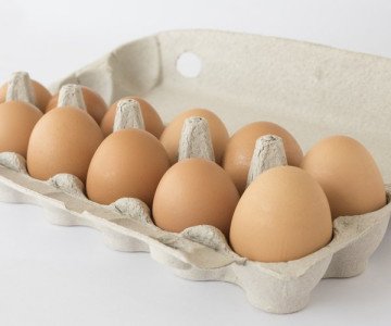 Egg carton