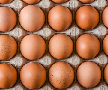 Eggs in tray