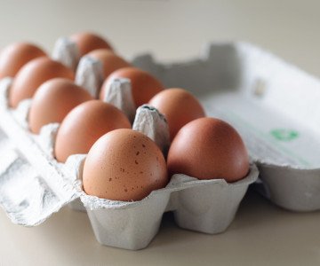 eggs in carton