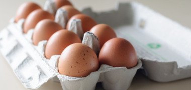 eggs in carton