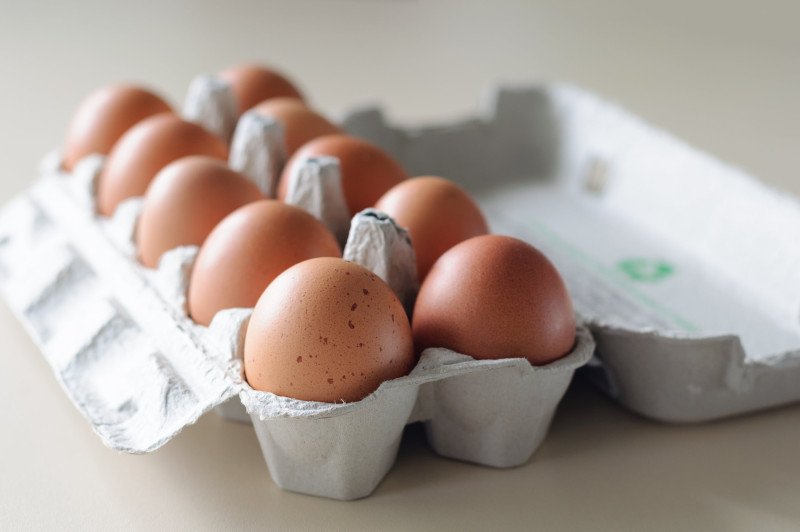 eggs in carton