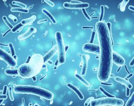 salmonella tool trial 2