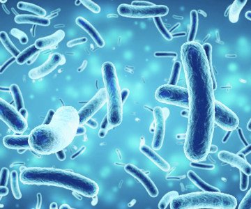salmonella tool trial 2