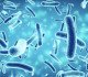 salmonella tool trial 2