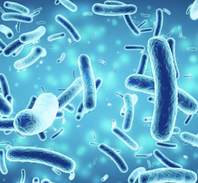 salmonella tool trial 2