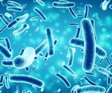 salmonella tool trial