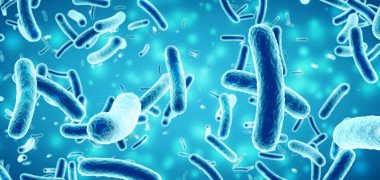 salmonella tool trial