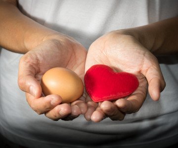 woman holding egg and heart