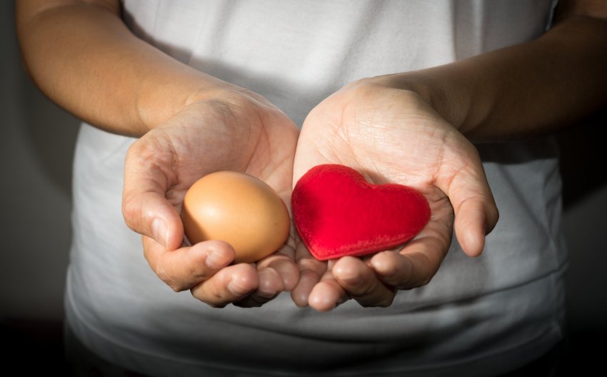 woman holding egg and heart