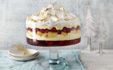 Epic trifle 3304