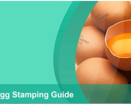 Egg stamping picture 2