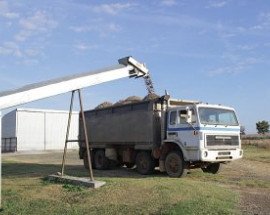 Layer Hen Manure Analysis